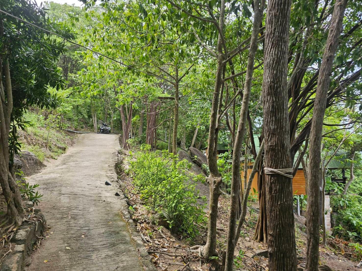 Tao Thong Villa 2 Koh Tao Exteriör bild